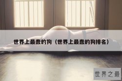 世界上最蠢的狗（世界上最蠢的狗排名）