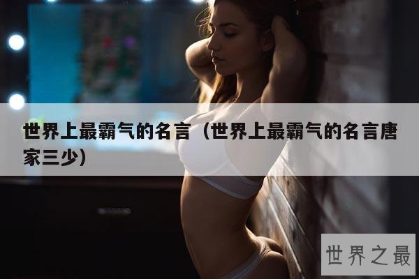 世界上最霸气的名言(世界上最霸气的名言唐家三少)