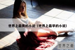 世界上最黄的小说（世界上最早的小说）