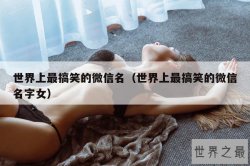 世界上最搞笑的微信名（世界上最搞笑的微信名字女）