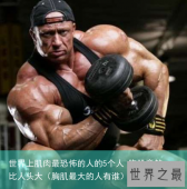 世界上肌肉最恐怖的人的5个人 胸肌竟然比人头大（胸肌最大的人有谁）