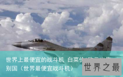 世界上最便宜的战斗机 白菜价1欧元出售别国（世界最便宜战斗机）