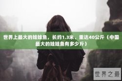 世界上最大的娃娃鱼，长约1.3米、重达40公斤（中国最大的娃娃鱼有多少斤）