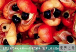 世界上最恐怖的水果——西非荔枝果（世界上最难见的水果）