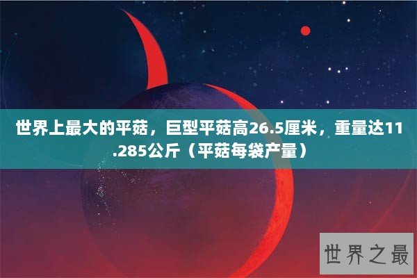 世界上最大的平菇，巨型平菇高26.5厘米，重量达11.285公斤（平菇每袋产量）