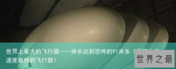 世界上最大的飞行器——体长达到恐怖的91米多（目前人类速度最快的飞行器）