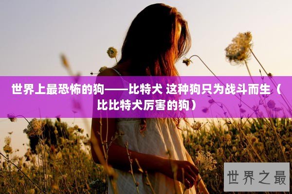 世界上最恐怖的狗——比特犬 这种狗只为战斗而生（比比特犬厉害的狗）