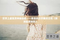 世界上最高贵神秘的花——来自的古巴幽灵兰花（欧洲高贵的花）