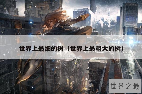 世界上最细的树(世界上最粗大的树)