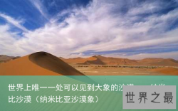 世界上唯一一处可以见到大象的沙漠——纳米比沙漠（纳米比亚沙漠象）