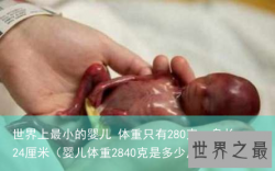 世界上最小的婴儿 体重只有280克，身长24厘米（婴儿体重2840克是多少斤）