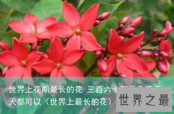 世界上花期最长的花 三百六十五天几乎天天都可以（世界上最长的花）