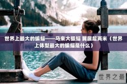 世界上最大的蝙蝠——马来大狐蝠 翼展超两米（世界上体型最大的蝙蝠是什么）