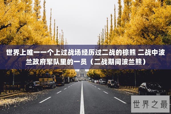 世界上唯一一个上过战场经历过二战的棕熊 二战中波兰政府军队里的一员(二战期间波兰熊) 世界上唯一一个上过战场经历过二战的棕熊 二战中波兰政府军队里的一员(二战期间波兰熊)