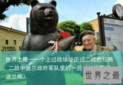 世界上唯一一个上过战场经历过二战的棕熊 二战中波兰政府军队里的一员（二战期间波兰熊）