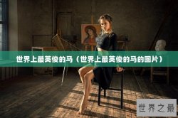 世界上最英俊的马（世界上最英俊的马的图片）