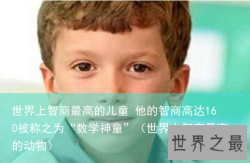 世界上智商最高的儿童 他的智商高达160被称之为“数学神童”（世界上智商最高的动物）