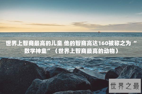 世界上智商最高的儿童 他的智商高达160被称之为“数学神童”（世界上智商最高的动物）