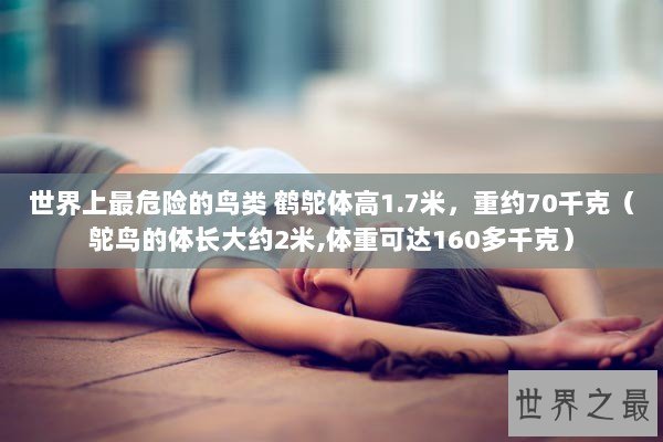 世界上最危险的鸟类 鹤鸵体高1.7米,重约70千克(鸵鸟的体长大约2米,体重可达160多千克) 世界上最危险的鸟类 鹤鸵体高1.7米,重约70千克(鸵鸟的体长大约2米,体重可达160多千克)