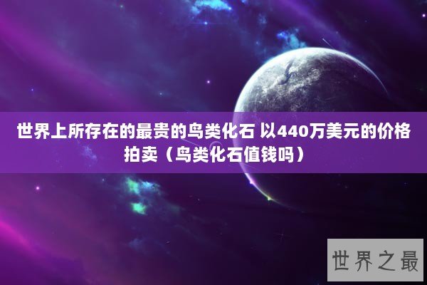 世界上所存在的最贵的鸟类化石 以440万美元的价格拍卖（鸟类化石值钱吗）