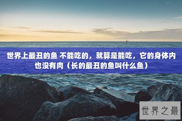 世界上最丑的鱼 不能吃的，就算是能吃，它的身体内也没有肉（长的最丑的鱼叫什么鱼）