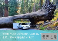 盘点世界上最让的惊叹的八条隧道，中国排第一（世界上第一长隧道是什么名字）
