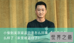 小偷到吴京家盗窃是怎么回事 小偷最后怎么样了（家里被盗窃了）