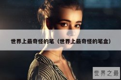 世界上最奇怪的笔（世界上最奇怪的笔盒）
