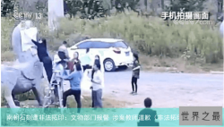 南朝石刻遭非法拓印：文物部门报警 涉案教师道歉（非法拓印文物）