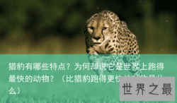 猎豹有哪些特点？为何却说它是世界上跑得最快的动物？（比猎豹跑得更快的动物是什么）