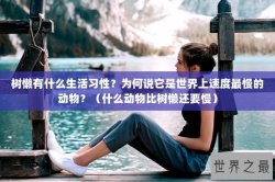 树懒有什么生活习性？为何说它是世界上速度最慢的动物？（什么动物比树懒还要慢）