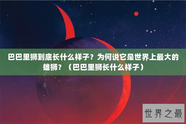 巴巴里狮到底长什么样子？为何说它是世界上最大的雄狮？（巴巴里狮长什么样子）