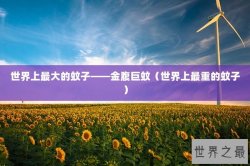 世界上最大的蚊子——金腹巨蚊（世界上最重的蚊子）