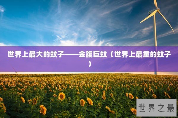 世界上最大的蚊子——金腹巨蚊（世界上最重的蚊子）