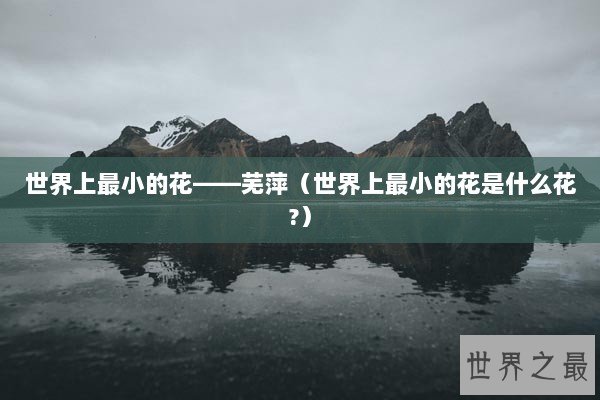 世界上最小的花——芜萍（世界上最小的花是什么花?）