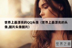 世界上最漂亮的QQ头像（世界上最漂亮的头像,图片头像图片）