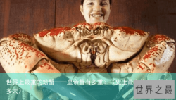 世界上最重的螃蟹——皇帝蟹有多重？（史上最大的帝王蟹有多大）