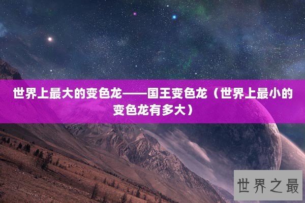 世界上最大的变色龙——国王变色龙（世界上最小的变色龙有多大）