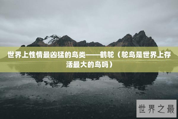 世界上性情最凶猛的鸟类——鹤鸵（鸵鸟是世界上存活最大的鸟吗）