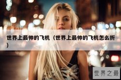 世界上最帅的飞机（世界上最帅的飞机怎么折）