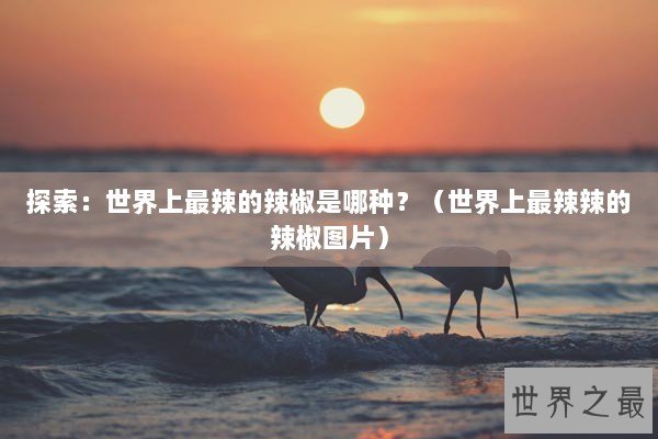 探索：世界上最辣的辣椒是哪种？（世界上最辣辣的辣椒图片）