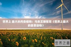 世界上 最大的肉食植物：马来王猪笼草（世界上最大的食草动物）