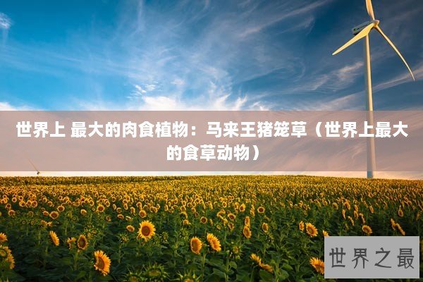 世界上 最大的肉食植物：马来王猪笼草（世界上最大的食草动物）