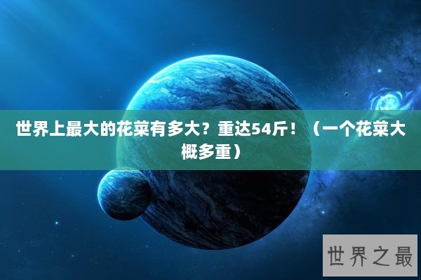 世界上最大的花菜有多大？重达54斤！（一个花菜大概多重）