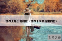 世界上最历害的枪（世界十大最厉害的枪）