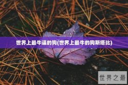 世界上最牛逼的狗(世界上最牛的狗斯塔比)