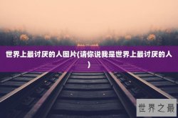 世界上最讨厌的人图片(请你说我是世界上最讨厌的人)