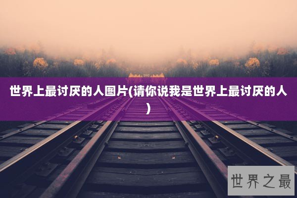 世界上最讨厌的人图片(请你说我是世界上最讨厌的人)