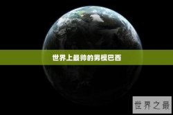 世界上最帅的男模巴西