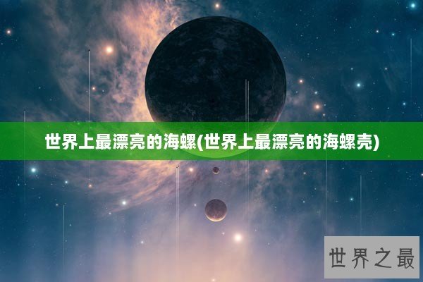 世界上最漂亮的海螺(世界上最漂亮的海螺壳)